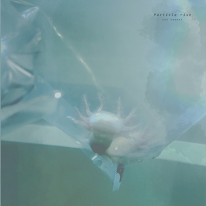 恶德医生和产妇人科医师
